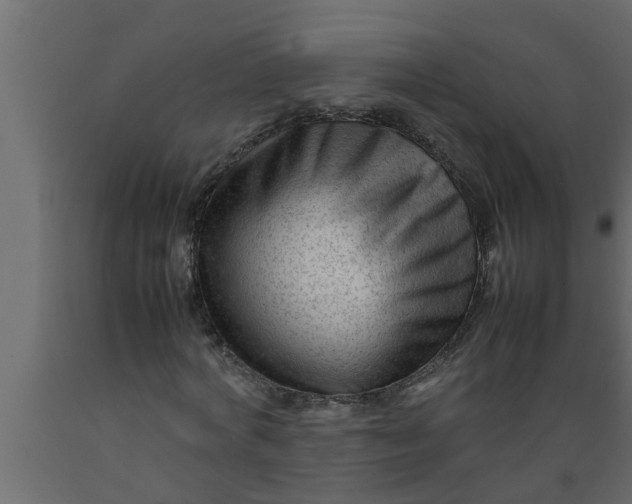 X0000089450772200707061242