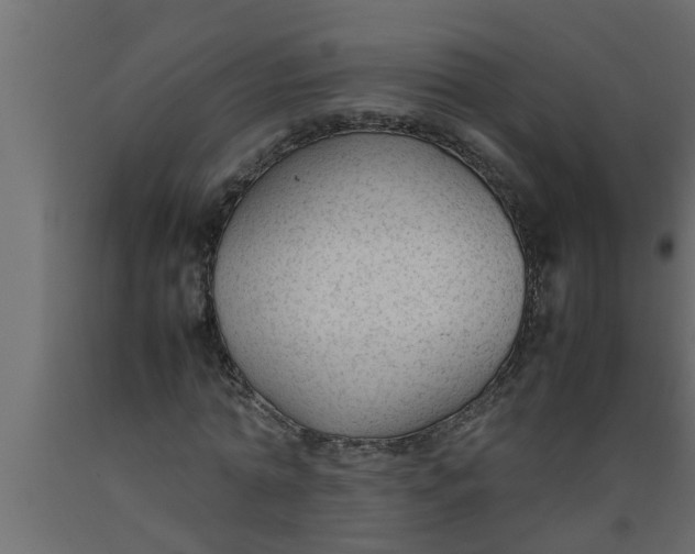 X0000089450774200707061242