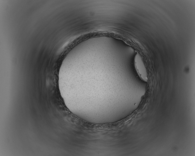 X0000089450776200707061242