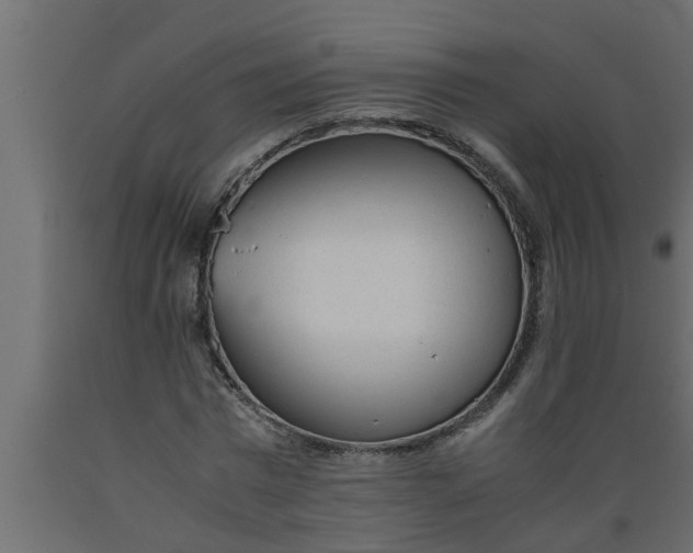 X0000089450777200707061242