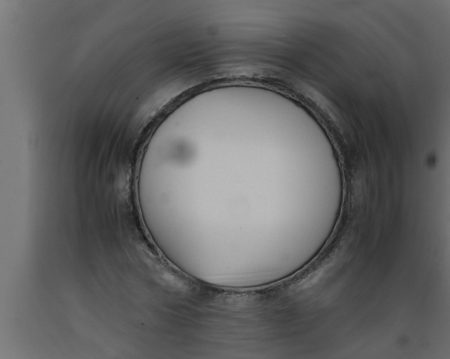 X0000089450778200707061242