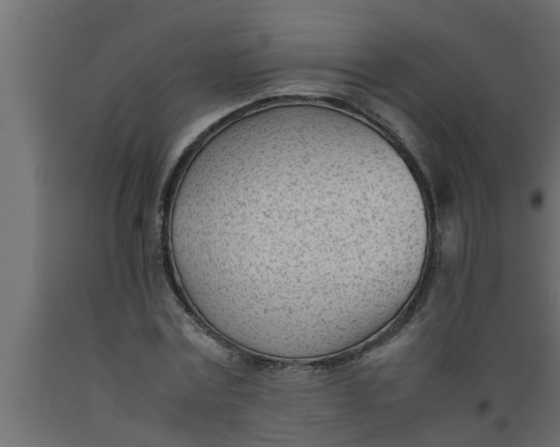 X0000089450779200707061242