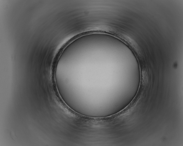 X0000089450780200707061242