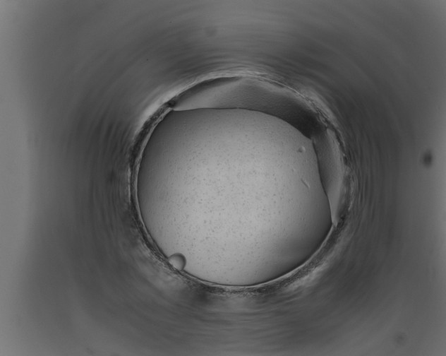 X0000089450781200707061241