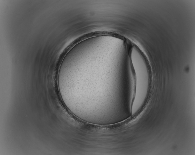 X0000089450783200707061241