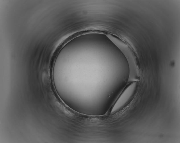 X0000089450784200707061241