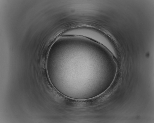 X0000089450785200707061241