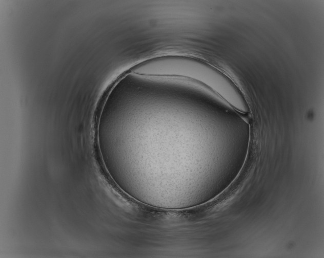 X0000089450787200707061241