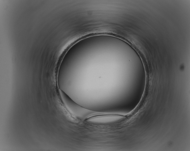 X0000089450789200707061241