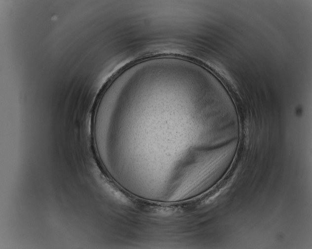 X0000089450790200707061241