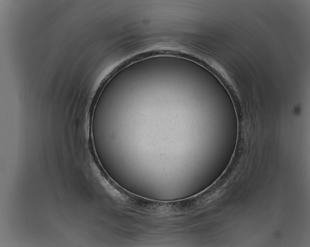 X0000089450791200707061241