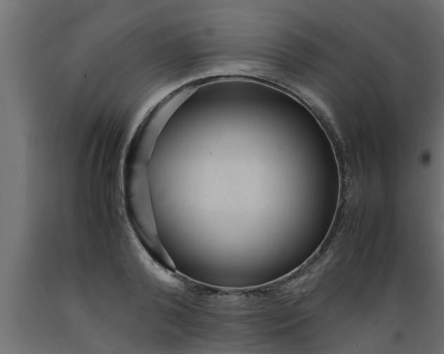 X0000089450792200707061241