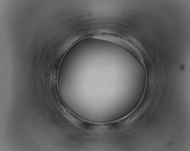 X0000089450793200707061241