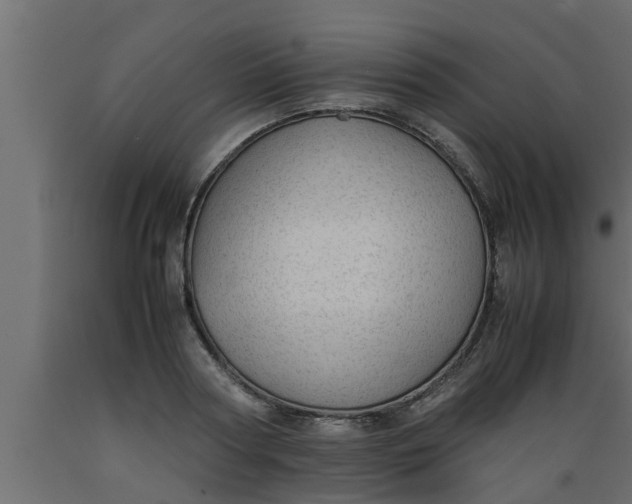 X0000089450794200707061241