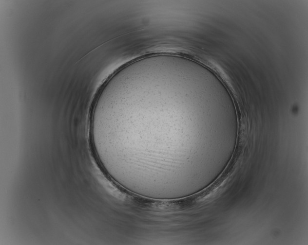 X0000089450795200707061241