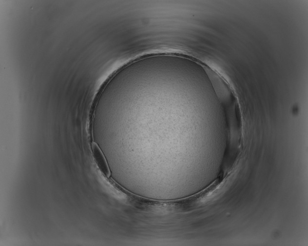 X0000089450797200707061241