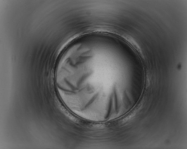 X0000089450798200707061241