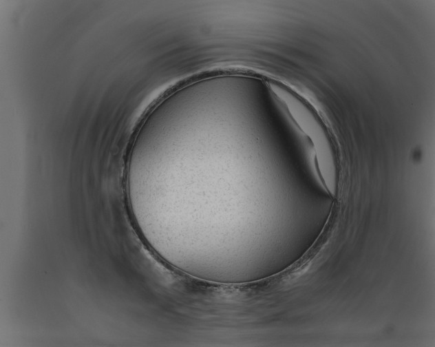 X0000089450799200707061241