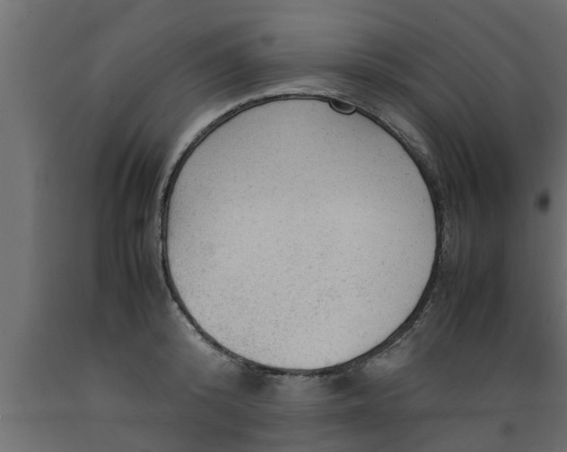 X0000089450800200707061241