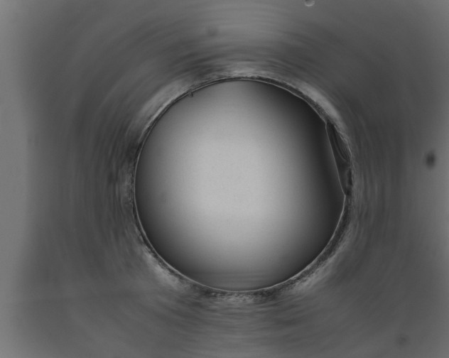 X0000089450801200707061241