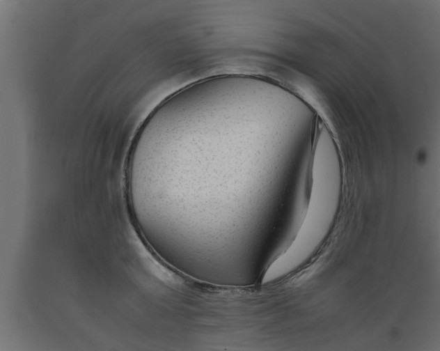 X0000089450803200707061241