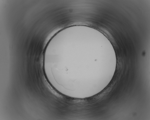 X0000089450804200707061241