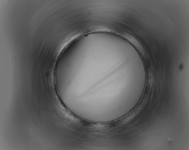 X0000089450806200707061241