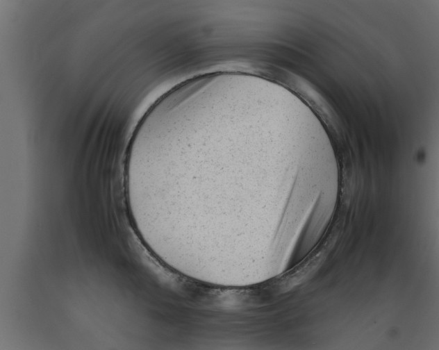 X0000089450808200707061241