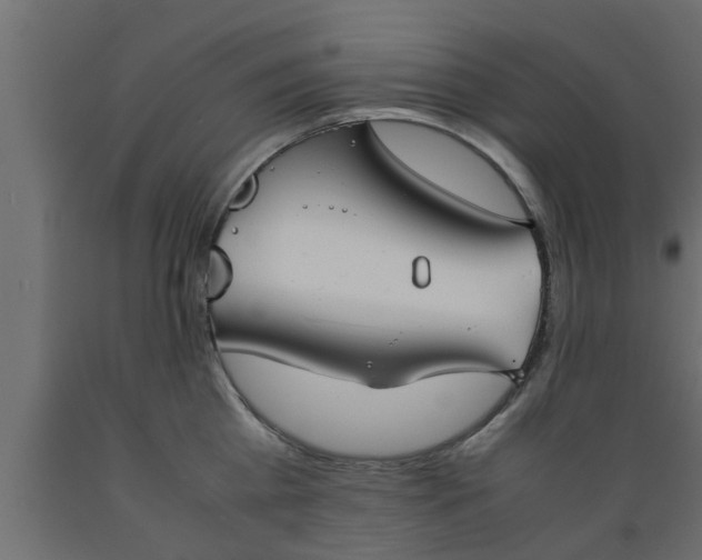 X0000089450809200707061241