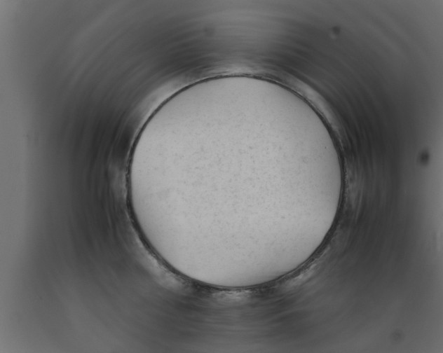 X0000089450810200707061241