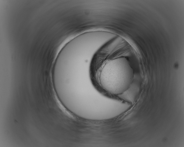 X0000089450813200707061241