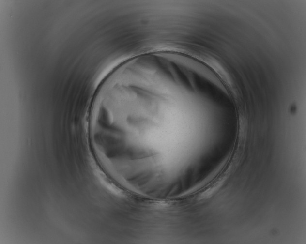 X0000089450814200707061241