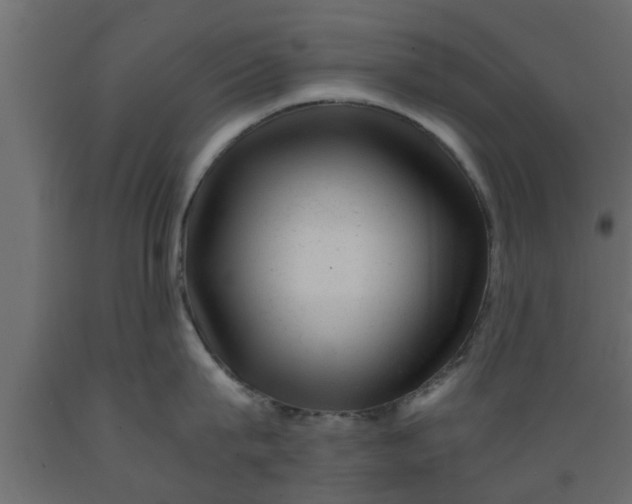 X0000089450815200707061241