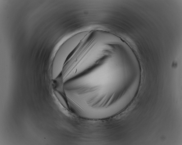 X0000089450816200707061241