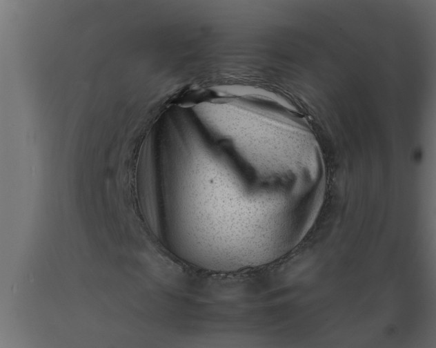 X0000089450817200707061240