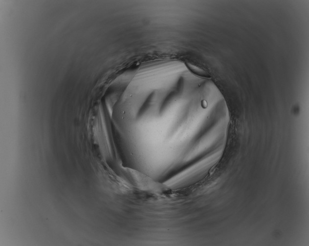 X0000089450818200707061240