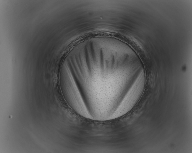 X0000089450821200707061240