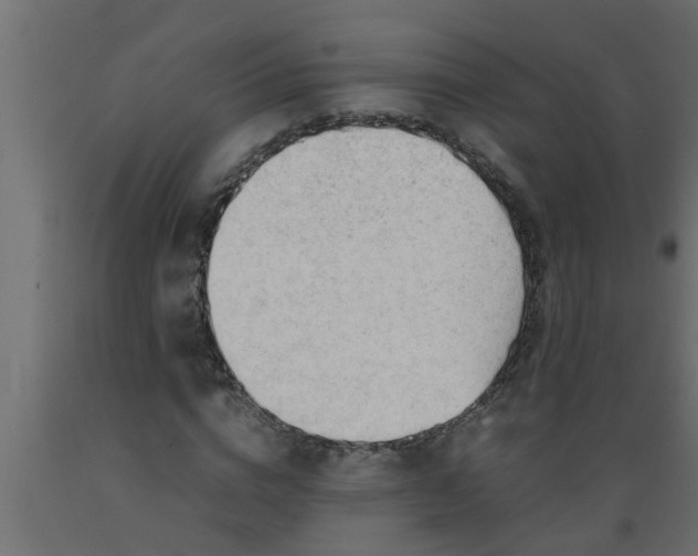 X0000089450824200707061241