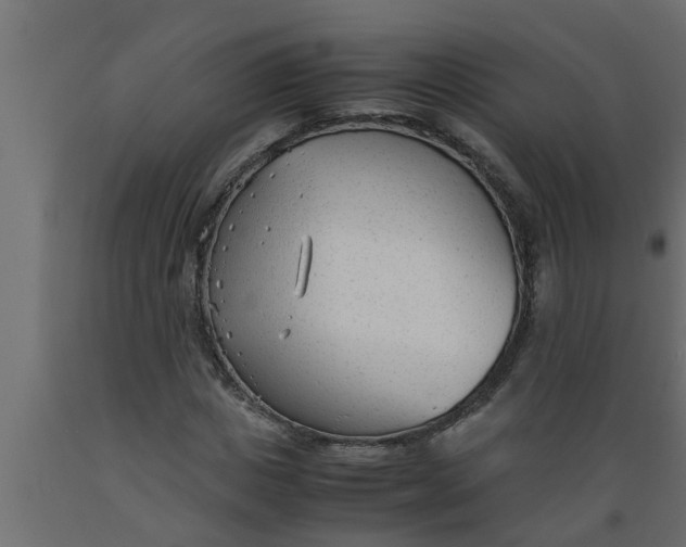 X0000089450825200707061241