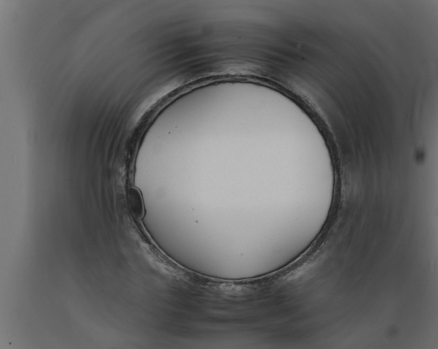 X0000089450827200707061241