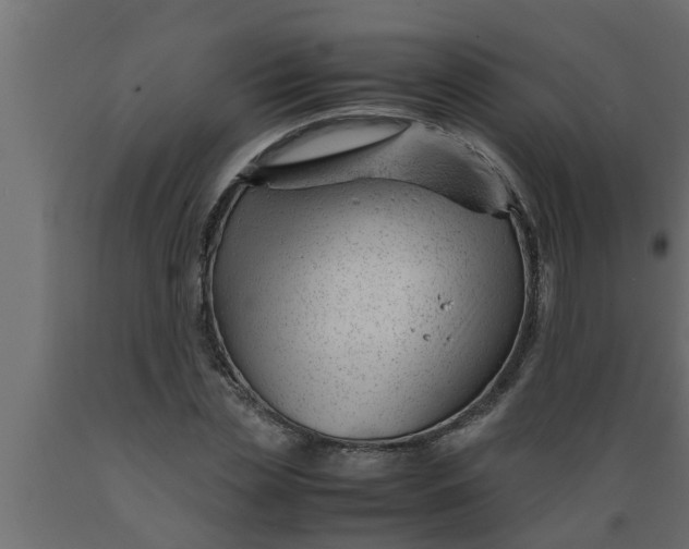 X0000089450829200707061241