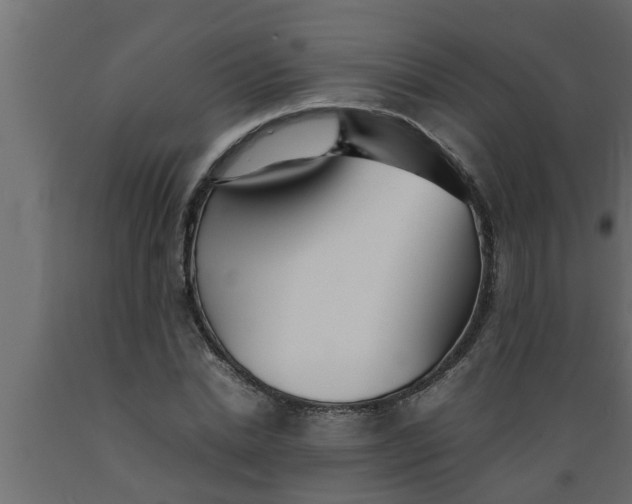 X0000089450830200707061241