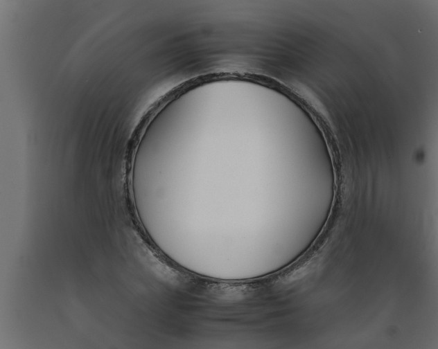 X0000089450831200707061241