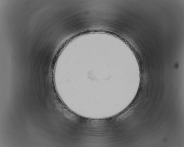 X0000089450832200707061241