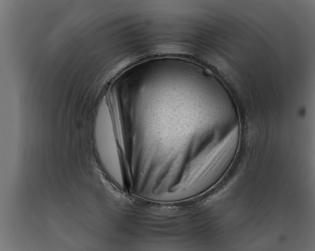 X0000089450833200707061241