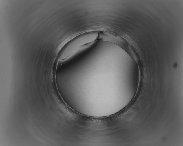 X0000089450834200707061241