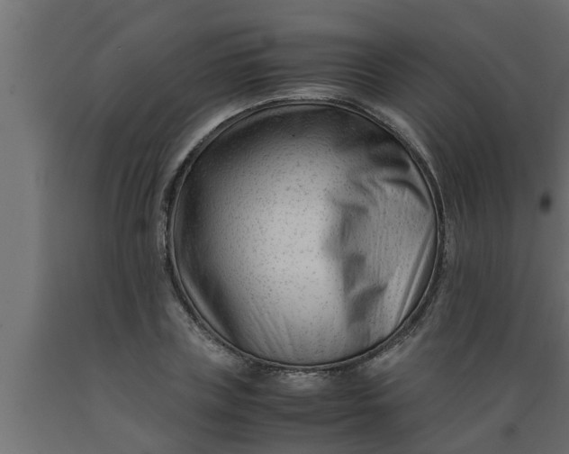 X0000089450835200707061241