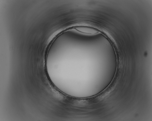 X0000089450837200707061241