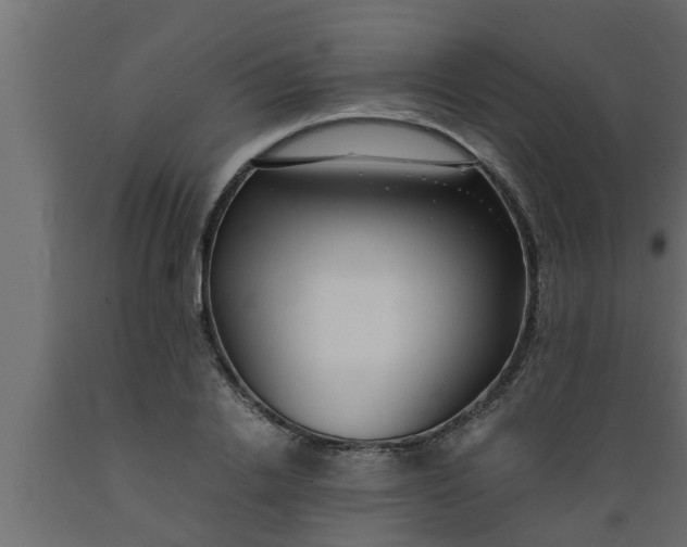 X0000089450838200707061241