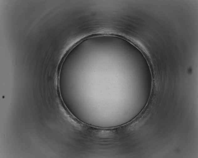 X0000089450839200707061241